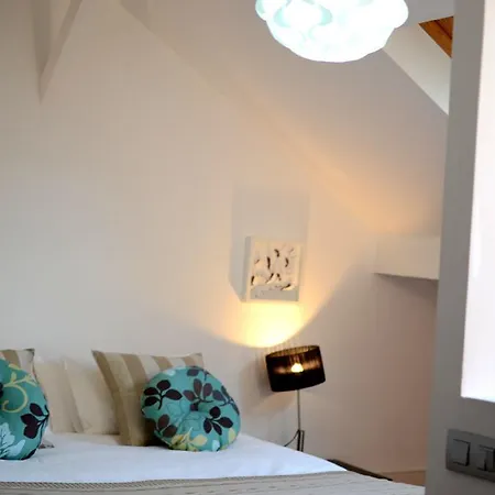 Apartment Duplex At Best Lively District *